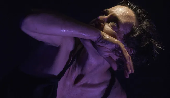 Una galaxia de luciérnagas